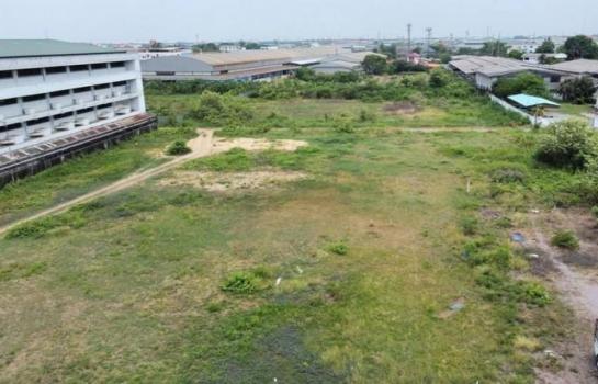 ��з���ẹ �� PL BUA