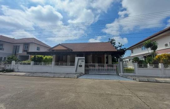 �Ң�ѭ �Ź�����