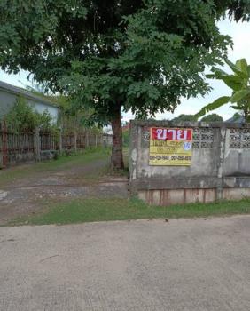 �� �� zionasset1