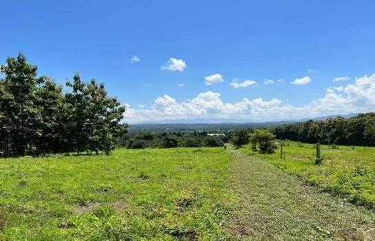 ���ᵧ �� northern1