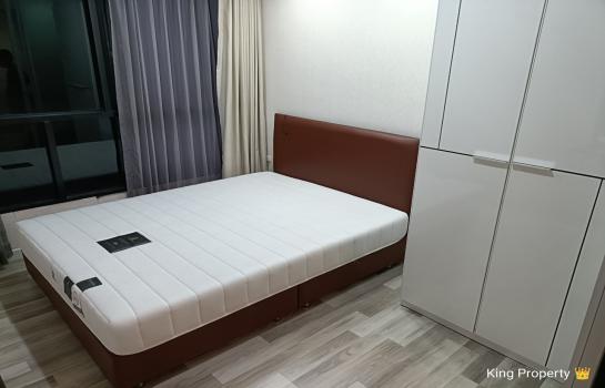 �͹������� ��ѡ����ا෾