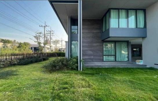 ��ҹ�ҧ�л� �ҧ�л�