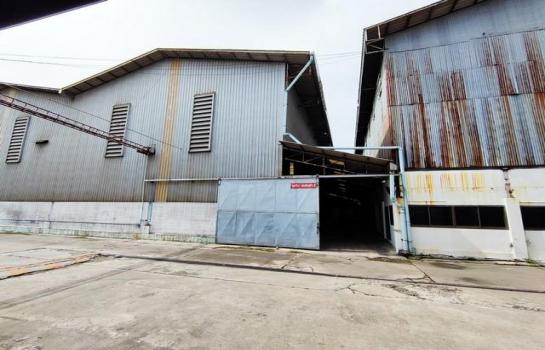 ��з���ẹ �� naorinpl