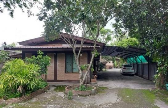 ����� �� onanong khumaphao