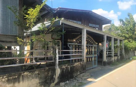 ��º�ҹ ���ͧ��ʸ���ʸ�