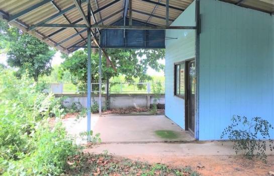 ��º�ҹ ���ͧ��ʸ���ʸ�