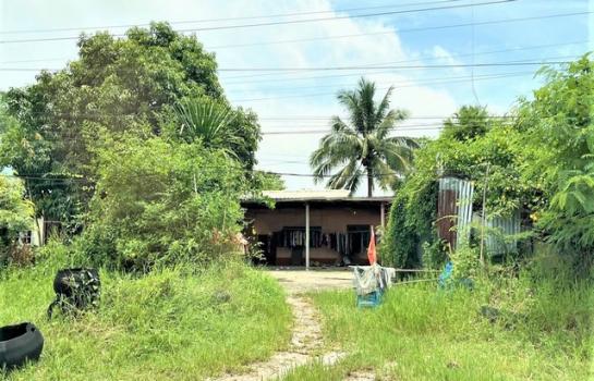 ����شøҹ� �� compos2566