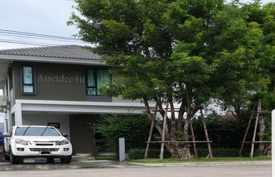 ���١�� �� AssetD4U