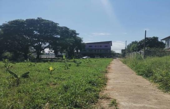 �ѹ���� �� northern1