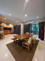 ��º�ҹ �ҧ�л�