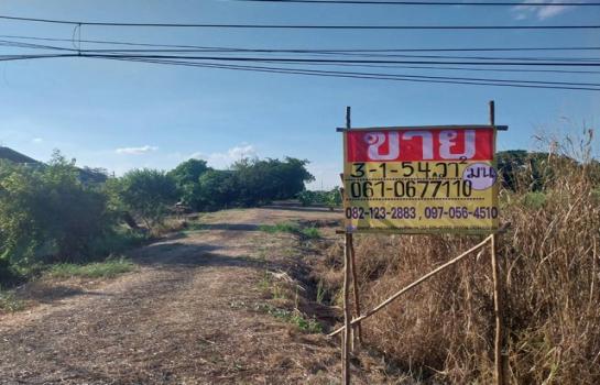 ��ҹ �� zionasset1