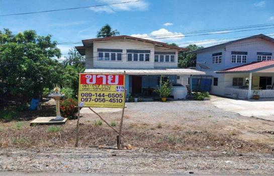 ��ɳ��š �� zionasset1