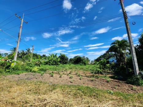 ��ªź��� �� Estate Corner