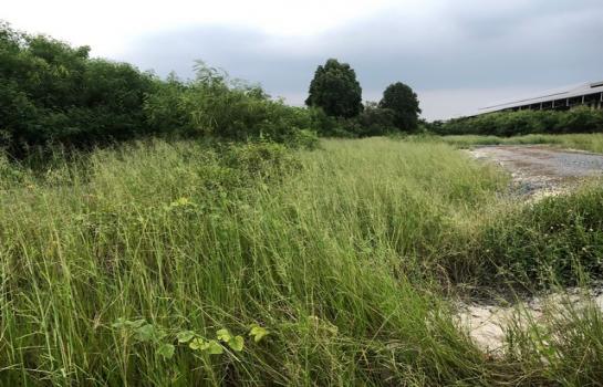 ������ �� zionasset1