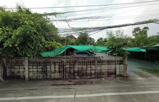 �ǹ��ǧ �� HarrisonTH