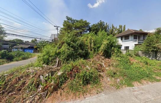 ��بѡ� �� HarrisonTH