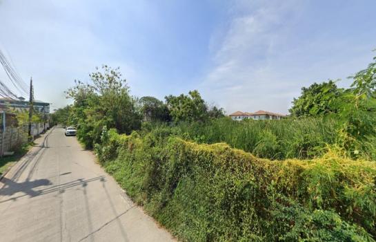 ����ǹ��ǧ �� HarrisonTH