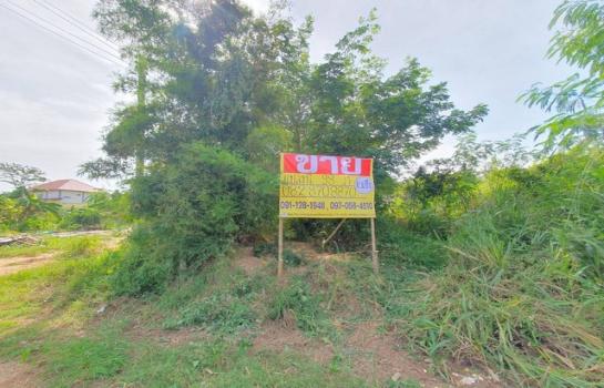 �͹�� �� zionasset1