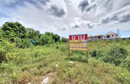 �͹�� �� zionasset1