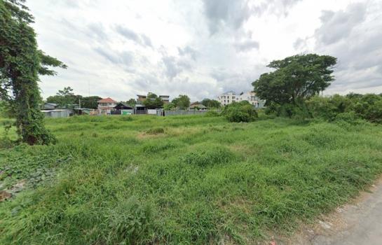 ����ǹ��ǧ �� HarrisonTH