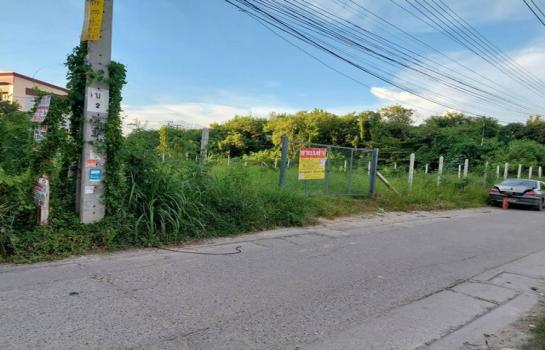 �ҧ�� �� zionasset1