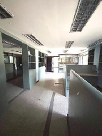 ⡴ѧ �����ҹ 8 ���