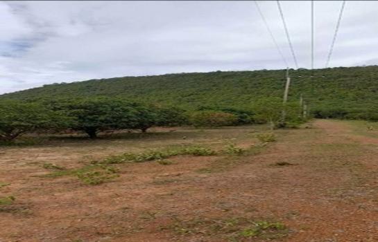 ����Ҫ���� �� pazarestate1