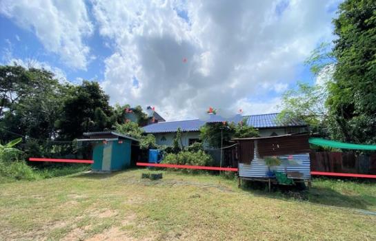 ��ҹ�شøҹ� �� compos2566