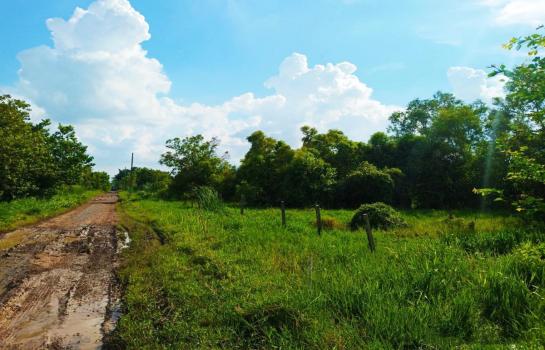 ��ا෾ �� Perfect Property1