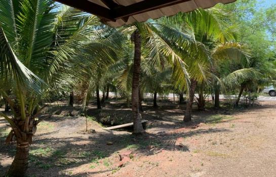 ��·��Թ 5,200,000 �ҷ