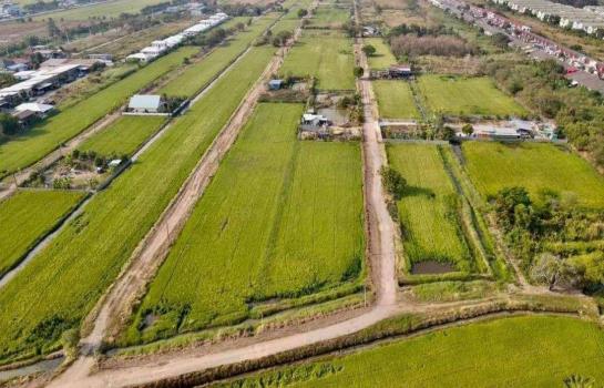 ���١�� �� rattana27