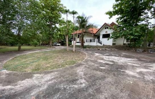 �ҧ�� �� onanong khumaphao