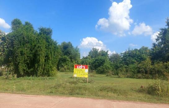 ˹ͧ��� �� zionasset1