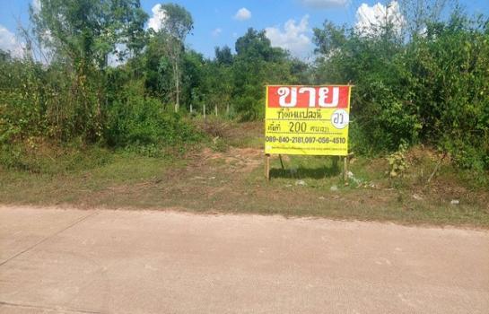 ˹ͧ��� �� zionasset1