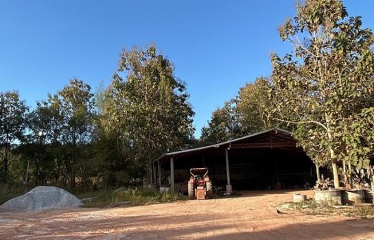 ��º�ҹ ���������