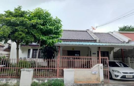 �ѹ���� �� northern1