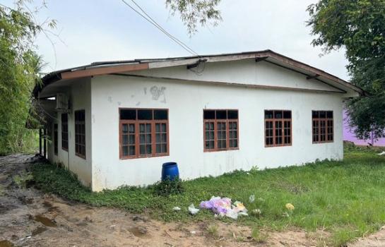 ���Թ���Һ �� panaya.opalopal