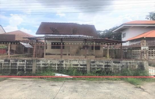 �غ��Ҫ�ҹ� �� compos2566