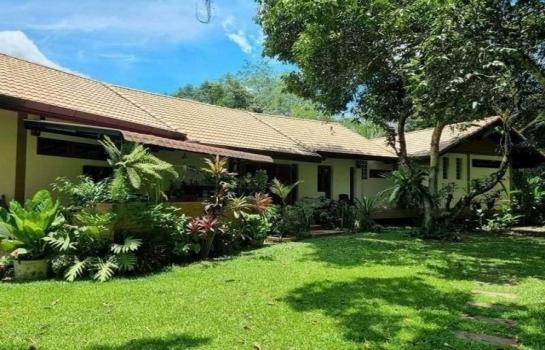 ������� �� onanong khumaphao