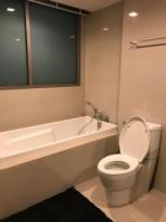 �͹� �Ѳ��