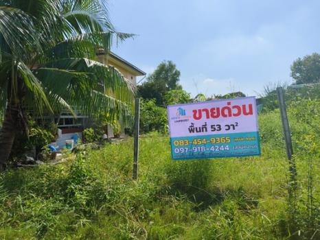 ����Ҵ��кѧ �� Estate Corner