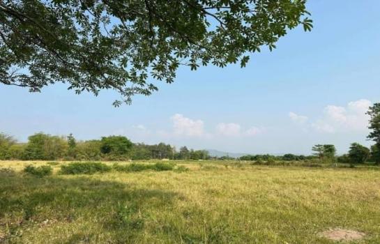 ������� �� onanong khumaphao