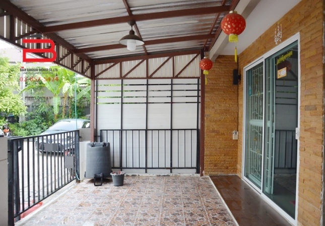 ��ǹ���������������� ������