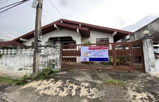 �ҧࢹ �� room168sub