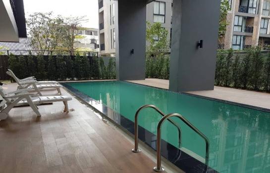 �Ң�ѭ �Ź�����