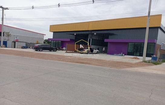 ���١�� �� Kong property