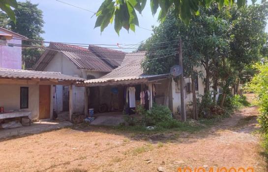 ��º�ҹ ����ѹ�ҡ�к��