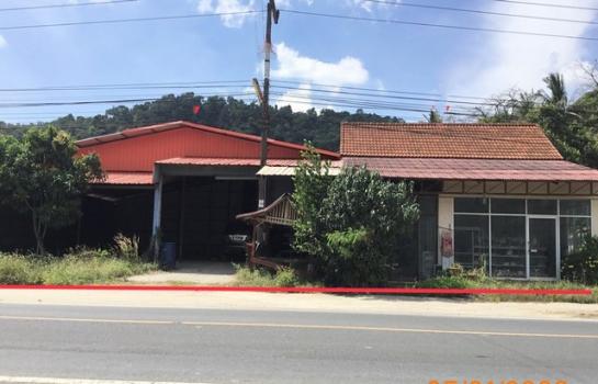 ��ҹ ����ѹ�� ��к��