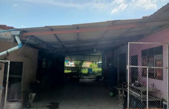 ��º�ҹ ����ѹ�ҡ�к��