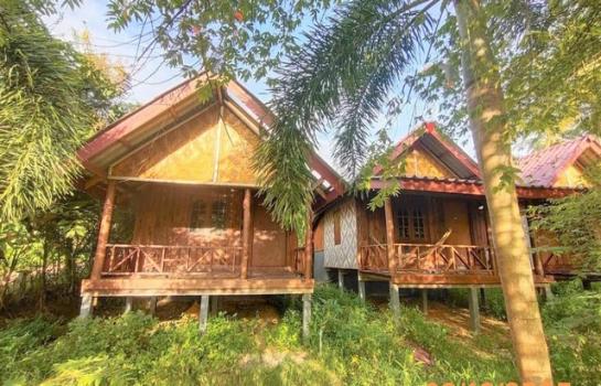 ��ҹ ����ѹ�� ��к��